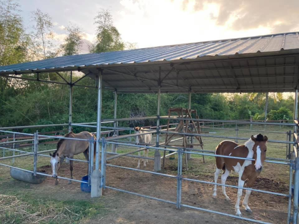 Ataalaya Farmhouse Batangas Eksteriør billede