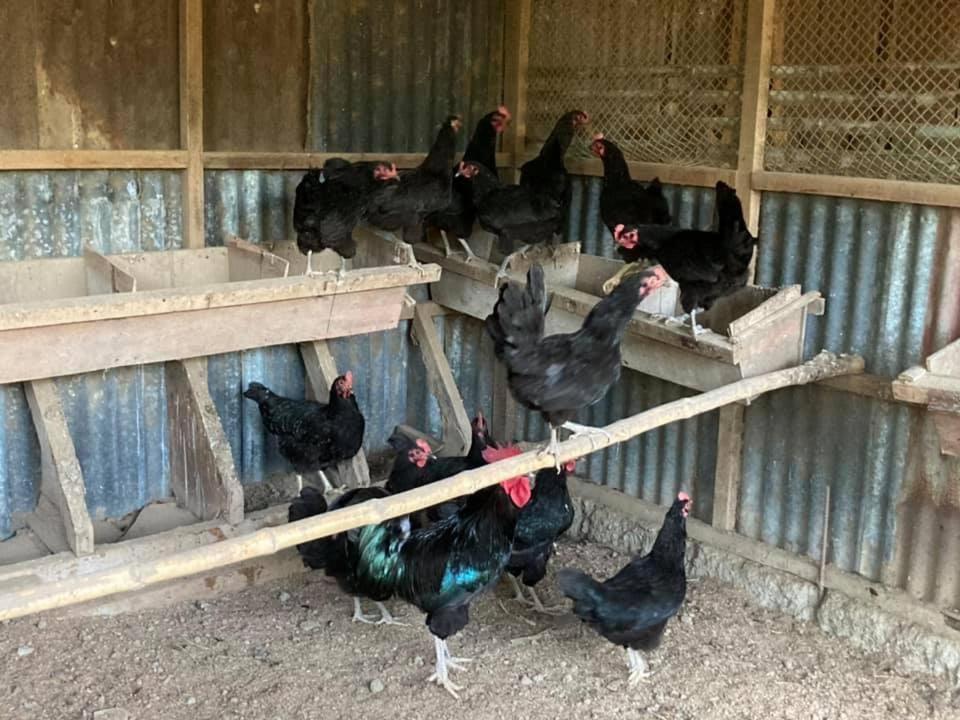 Ataalaya Farmhouse Batangas Eksteriør billede