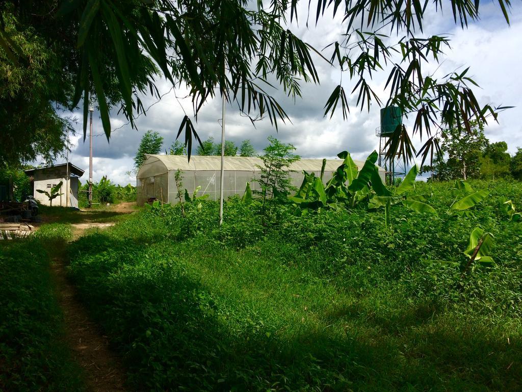 Ataalaya Farmhouse Batangas Eksteriør billede